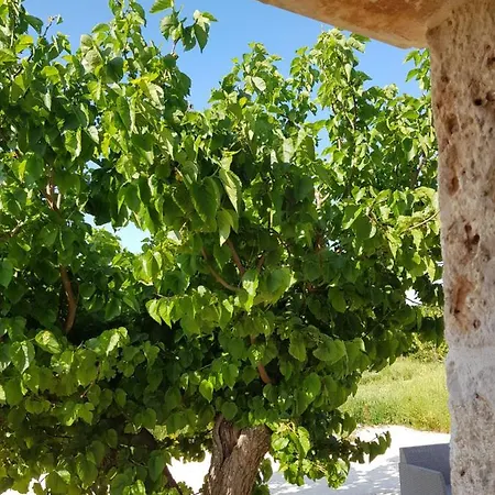 Trullo Victory Martina Franca